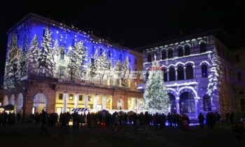 snowy forest projection in Como